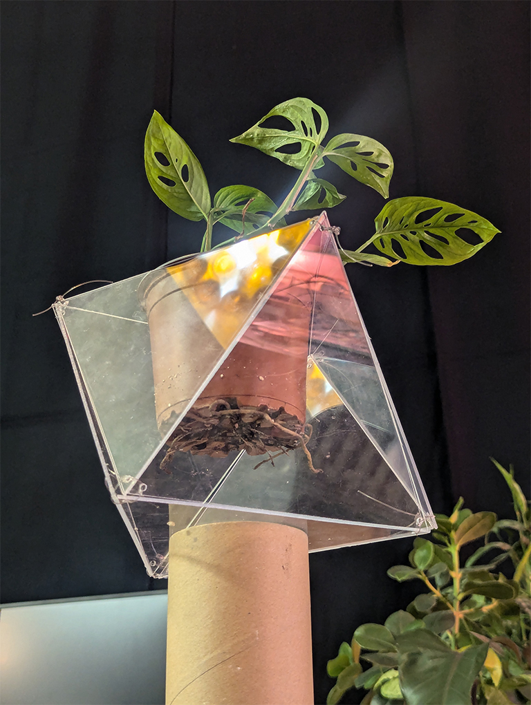 Transparent plant pot
